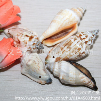 [YiBei Coral] Natural conch shells Blackmouth semi-finished products wholesale.