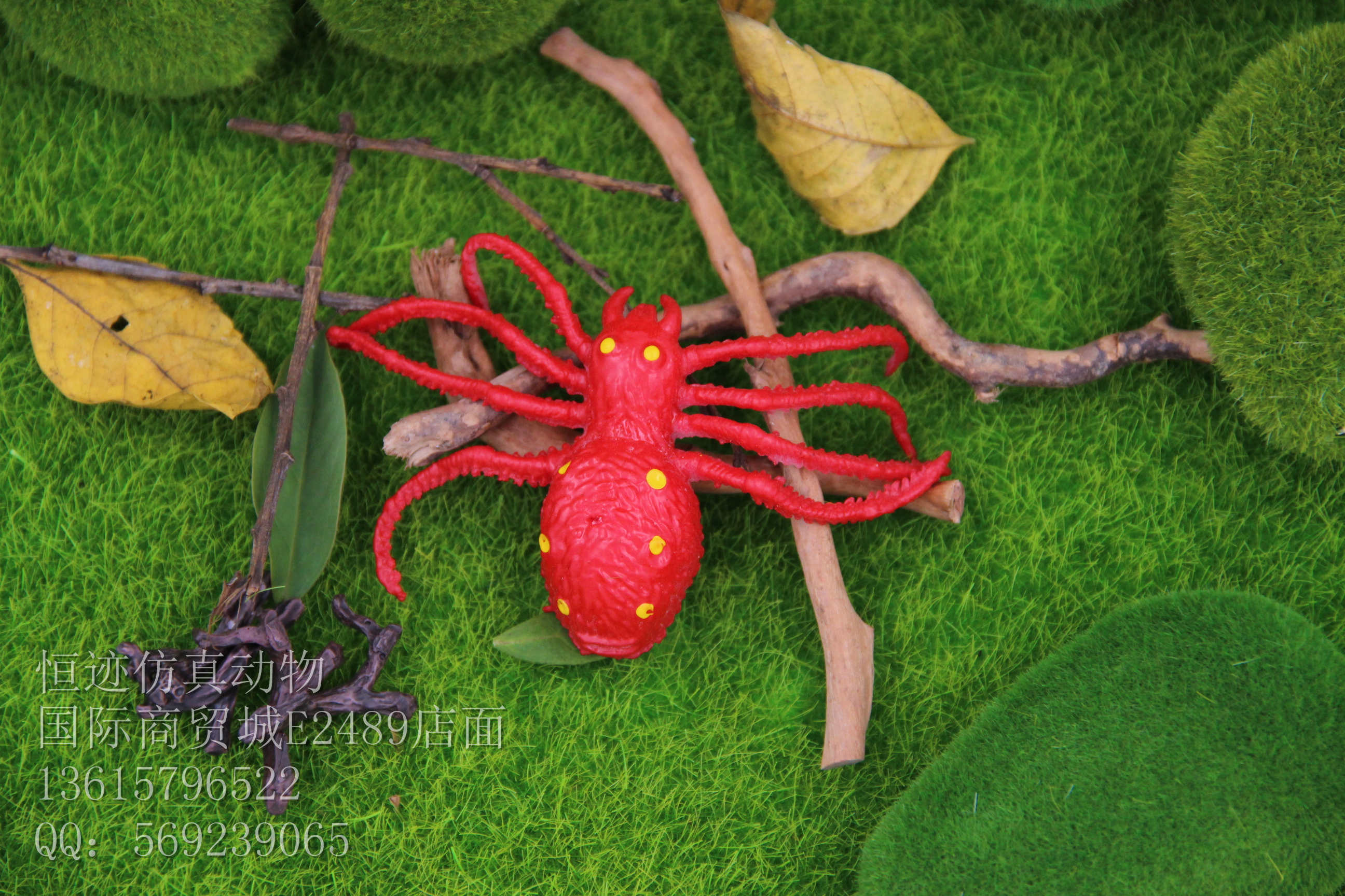 Product Image Gallery