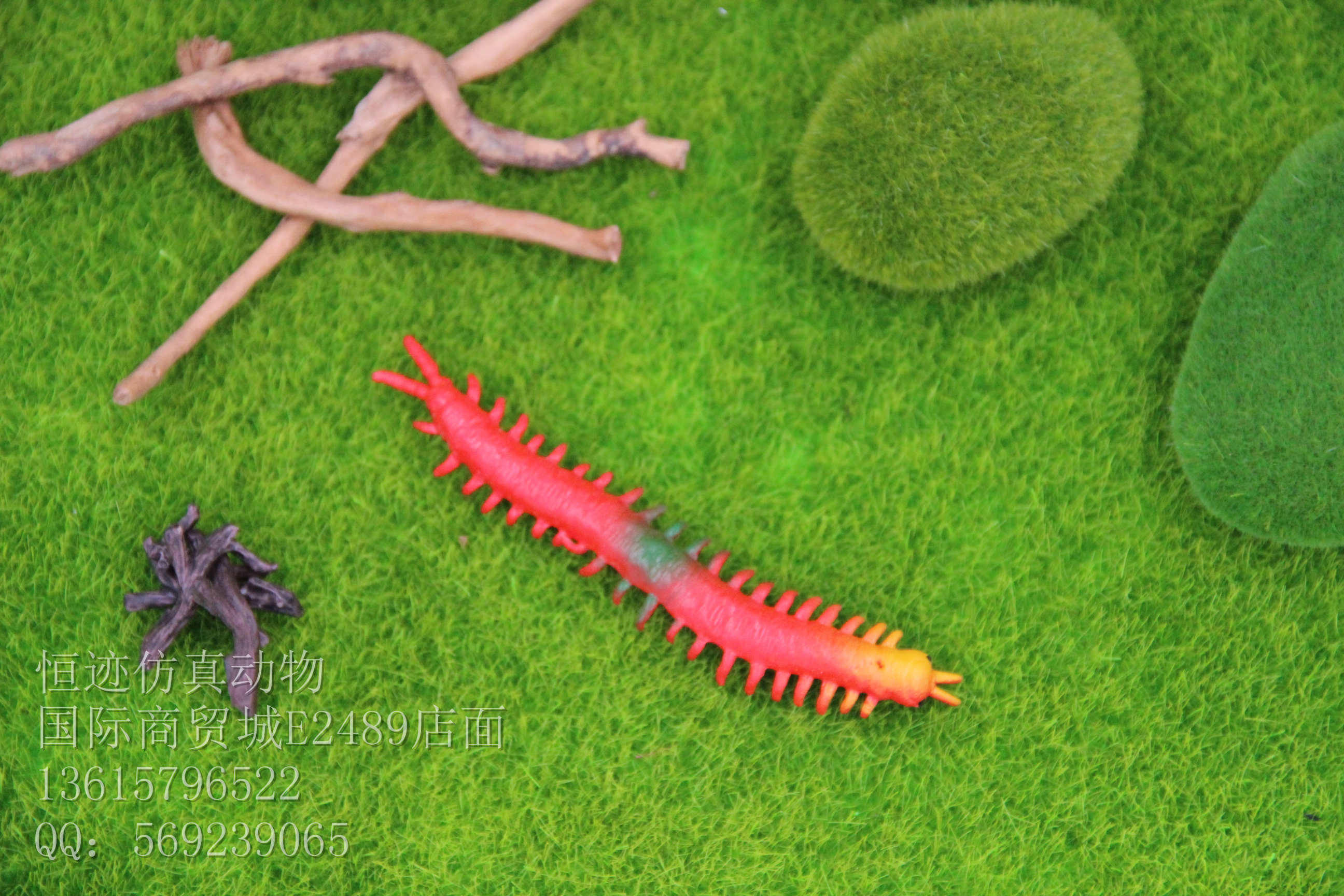 Product Image Gallery
