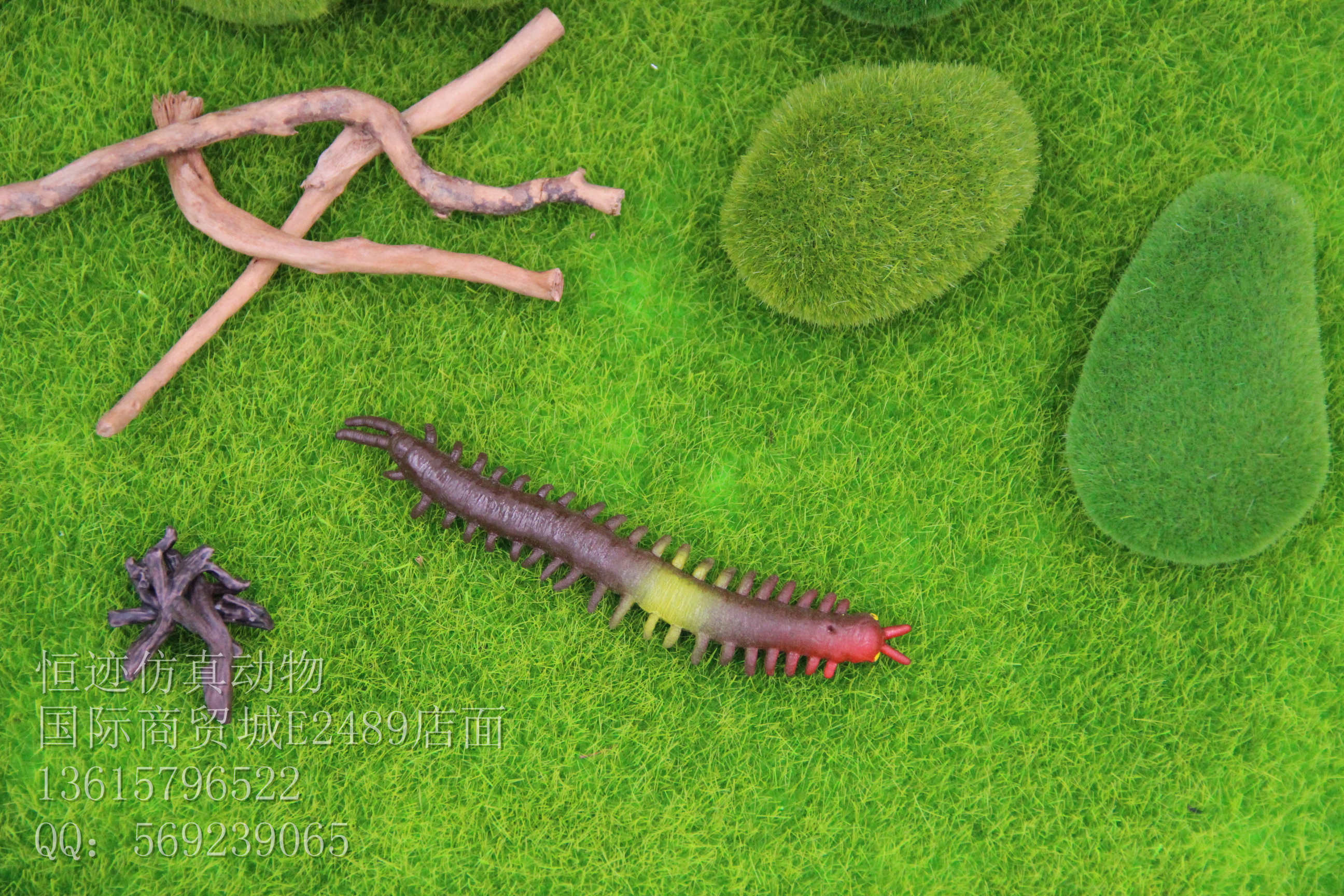 Product Image Gallery