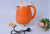 5l Anti-Scald Kettle Anti-Dry Burning Automatic Power off