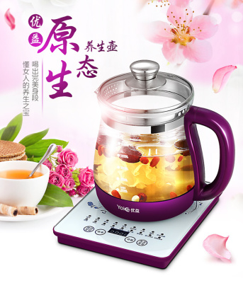 health pot full automatic  glass electric decocting traditional Chinese medicine health care pot boiled tea teapot body