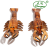Wooden Lobster Wood Shrimp Genuine Tianyun Wooden Travel Crafts Wooden Ornament Model Children's Toys