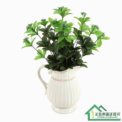 The green plant potted flowers flowers grass Holly holiday