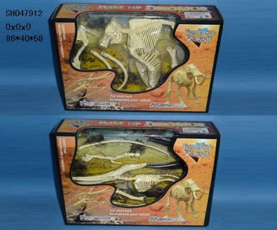SH047912 assembled dinosaur fossils