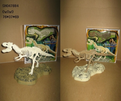SH047884 dinosaur fossil series