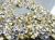 Ss6.5 China World Trade Center Grade a V-Bottomed Rhinestone Glass Diamond Accessories Wholesale