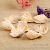 [Italy] natural seawater white conch shell coral jewelry accessories group.