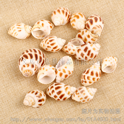 [Italy] Natural Coral Bay east sea conch jewelry accessories group.
