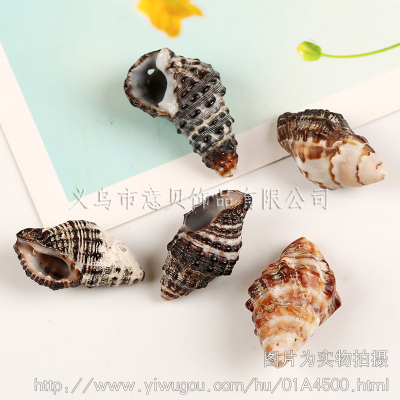 [Yibei jewelry] black linen thread marine natural conch shell jewelry accessories wholesale natural