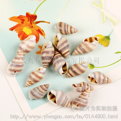 [Yibei jewelry] ocean drilling stripe snail natural conch shell jewelry accessories wholesale natural