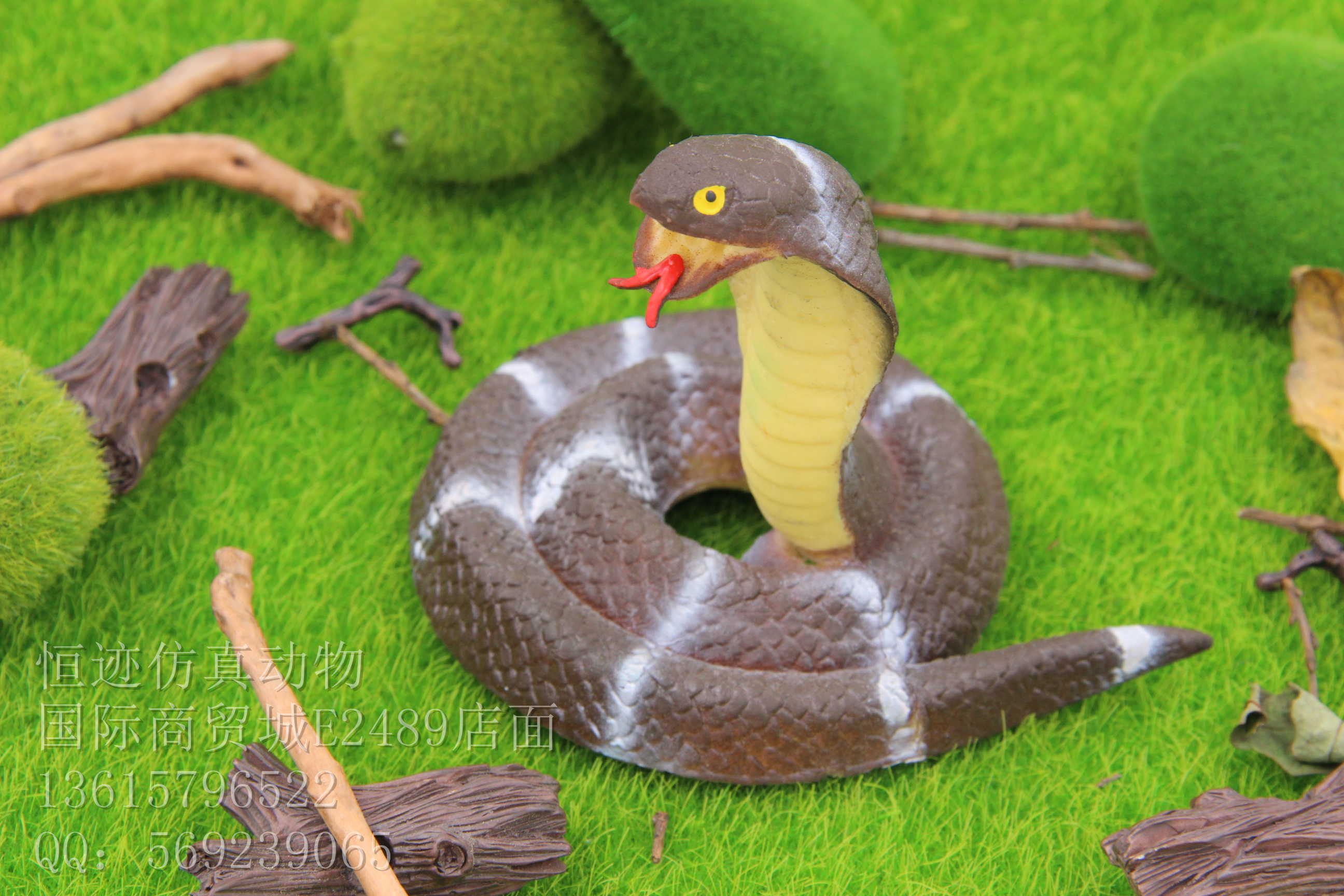 Product Image Gallery