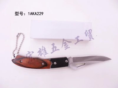 Kitchenware Stainless Steel Melon and Fruit Peeler Printing Portable Knife Factory Direct Sales Solid Wood Handle