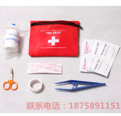 Portable first aid kit for camping trip, emergency medical kit, Mini First Aid Kit