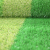 Artificial lawn plastic simulation grass court green carpet