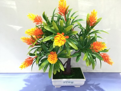 9.9 yuan ten yuan is not afraid to drop bonsai plastic flower pot big rectangular plastic flower pot