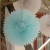 20cm New Wedding Party Layout Props Honeycomb Fan Fancy Paper Flower Fan Wedding Room Show Window Decoration