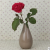 Gao Bo Decorated Home New Ceramic Vase Creative Floret Simple Desktop Decoration Hydroponic Plant Porcelain