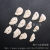 [Marine Yibei jewelry] half screw tail natural conch shell jewelry accessories wholesale natural
