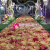 Haiyun wedding props simulation wedding flower wall studio background wedding decoration props flower arrangement wall.