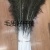 Peacock Feather Long and Short Feather Flower Arrangement Natural Peacock Feather