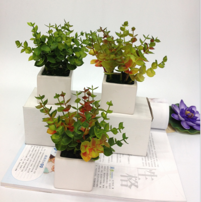Ceramic flower pot bonsai square Eucalyptus simulation Home Furnishing decoration