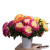 The five head of Alice Home Furnishing decorative peony flower simulation, simulation of plants, artificial flowers