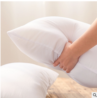 Sofa pillow core pillow core 30X45 50X50 55X55
