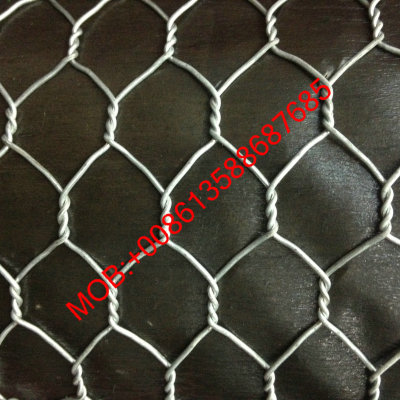 hexagonal wire mesh chicken mesh 
