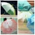 Adult Children Students Fully Transparent Plastic Environmental Protection Straight Handle Rain Umbrella Printable Logo Custom Advertising Umbrella