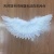 Factory Direct Sales Children Baby Student Feather Angel Wings