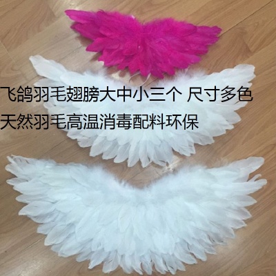 Factory Direct Sales Children Baby Student Feather Angel Wings