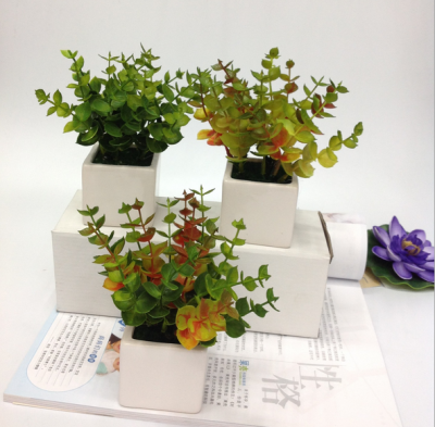 Ceramic flower pot bonsai square Eucalyptus simulation Home Furnishing decoration