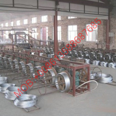 Export of galvanized iron wire white wire factory