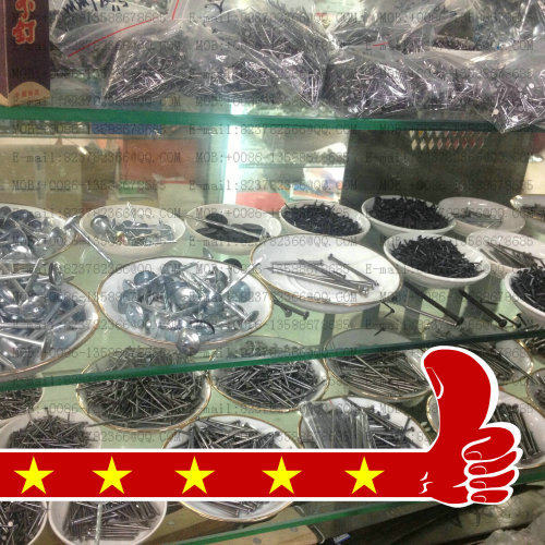 21. galvanized iron nails/hot galvanized nails/colorful galvanized nails