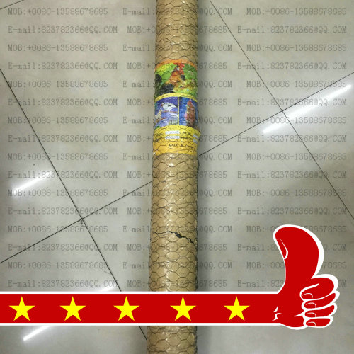 Exported to Algeria 3/4 Inch 1M * 50M Hexagonal Wire Net