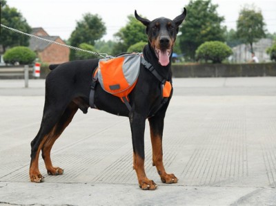 TV TV Shopping Creative Pet Carrying Bag Pet Dog Dog Backpack Pet Outdoor Supplies