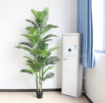 The simulation of five bar incense palm palm tree tree tree false sunflower indoor bonsai