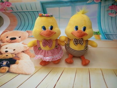 Happy lovers duck