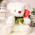 Teddy Bear Doll Colorful Bear Wedding Doll Prize Claw Doll 25CM Wedding Tossing
