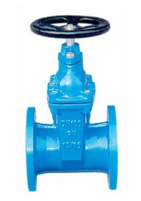 Black bar resilient seat gate valve