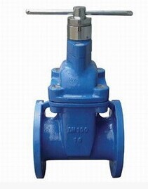 Anti-theft resilient block gate valve