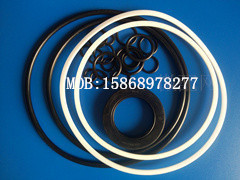 Manufacturer direct selling carter rotary motor oil seal repair package E70B, E120/B, E312/B, E.