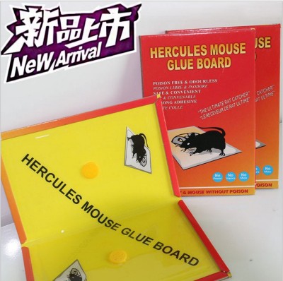 Export the glue rat board mouse killer non-toxic mouse plate