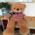 The sweater Tactic send friends birthday bear bear plush toy doll gift