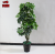 Interior decoration fake tree bonsai four fork tree simulation shaking Qian Shu gold evergreen tree pot