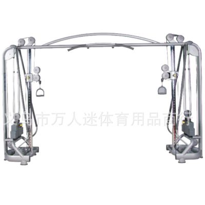 Tianzhan tz-6018 large bird professional machine gym dedicated commercial fitness equipment
