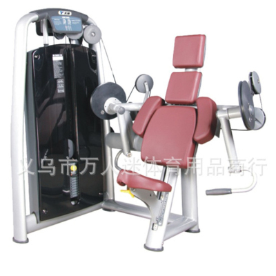 Gym Tainuojian TZ-6013 Professional Machine Sitting Biceps Training Aid Gym Dedicated