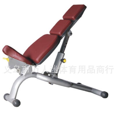 Tianzhen TZ-6024 Professional machine Adjustable Dumbbell Training Chair Commercial Fitness Equipment