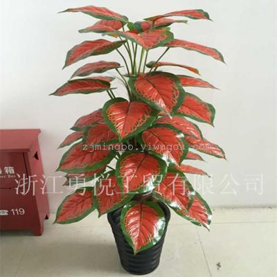 Plant simulation package brown water Rohdea Scindapsus crafts such as a Buddism godness Guanyin simulation tree